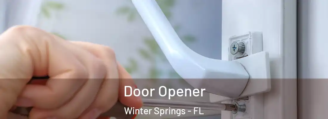  Door Opener Winter Springs - FL