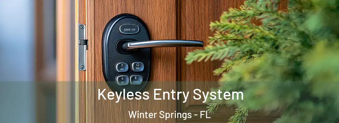 Keyless Entry System Winter Springs - FL